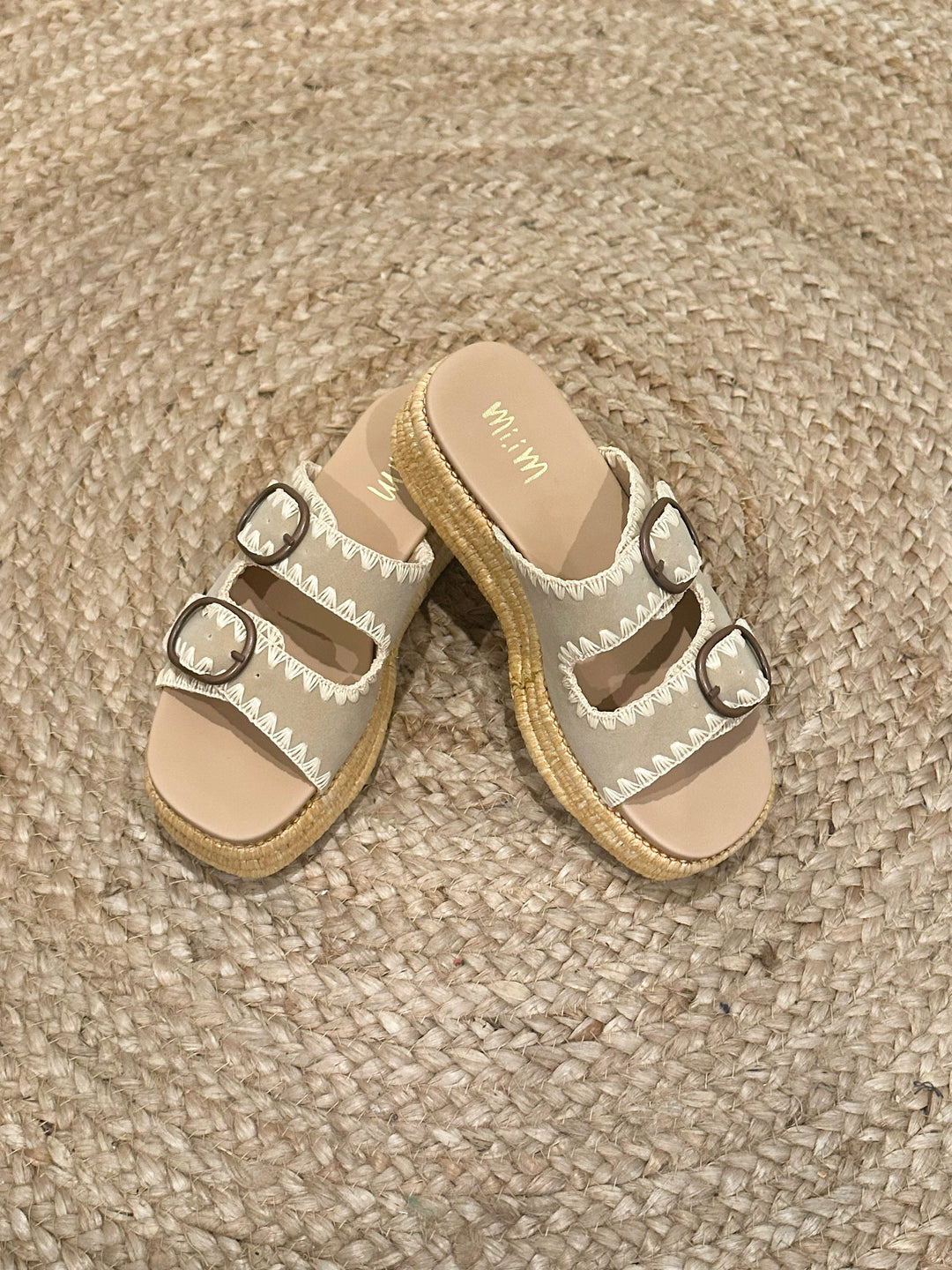 HEIDI Platform Slides
