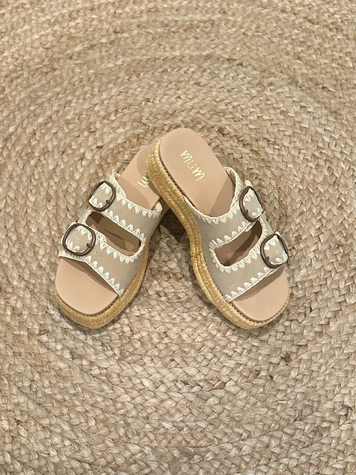 HEIDI Platform Slides