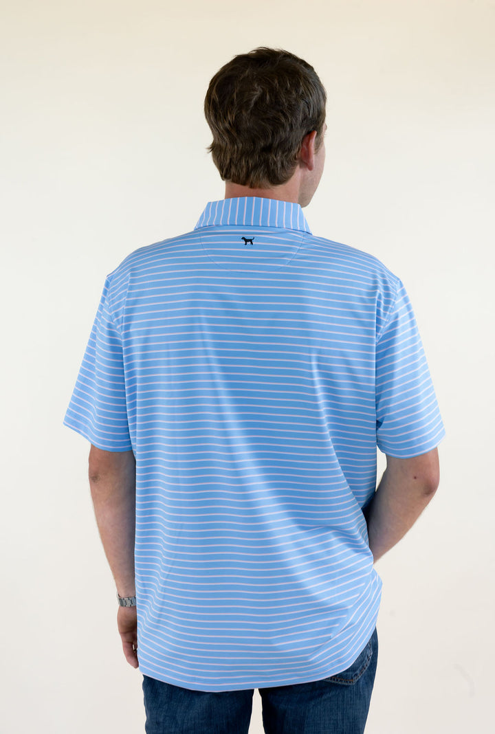Back view of blue and pink striped men’s performance polo featuring horizontal stripe pattern, short sleeves, and collared design