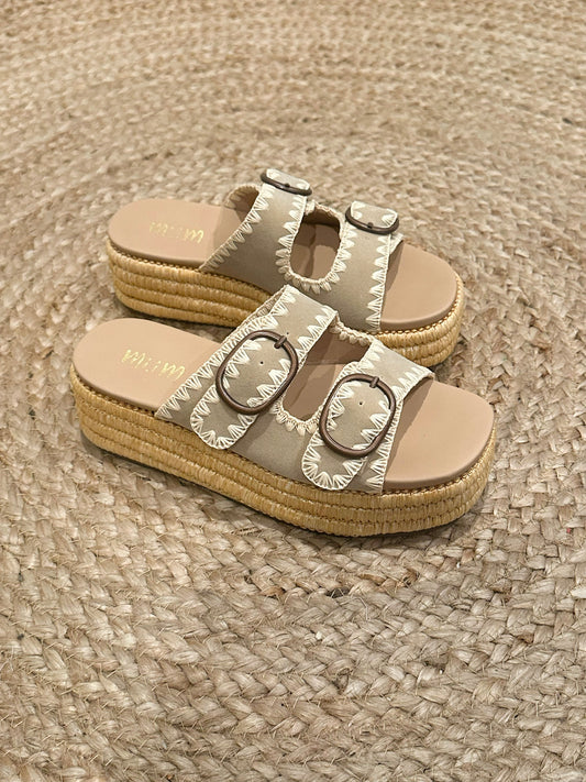 HEIDI Platform Slides