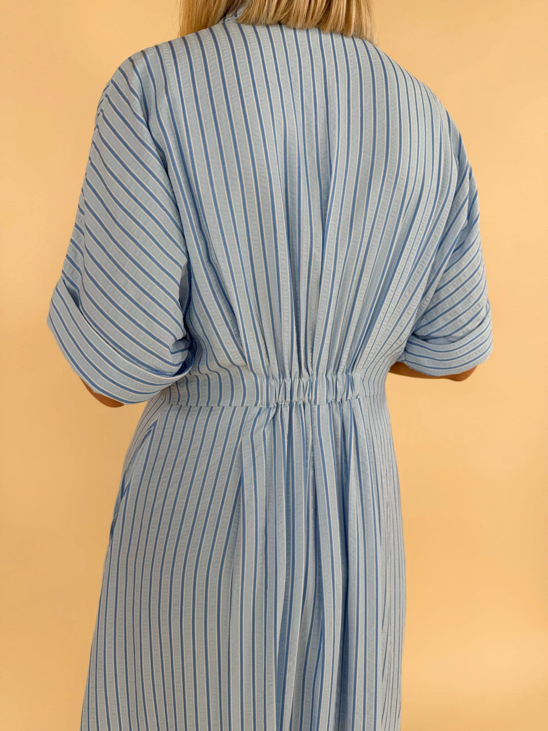 Giselle Striped Button Down Dress