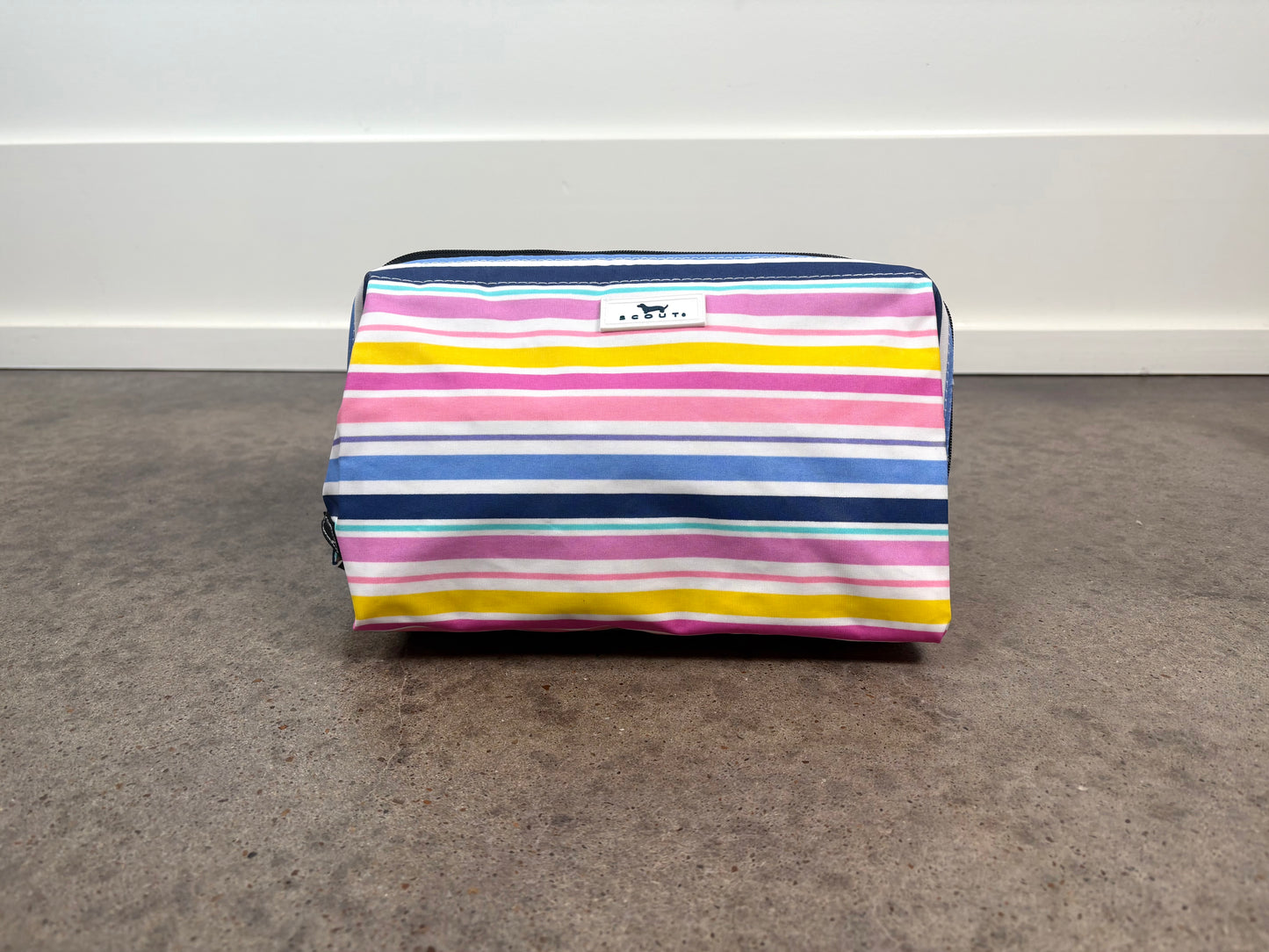 Big Mouth Makeup Bag in Stripe a Pose with colorful horizontal stripes, roomy zippered makeup bag for beauty and travel.