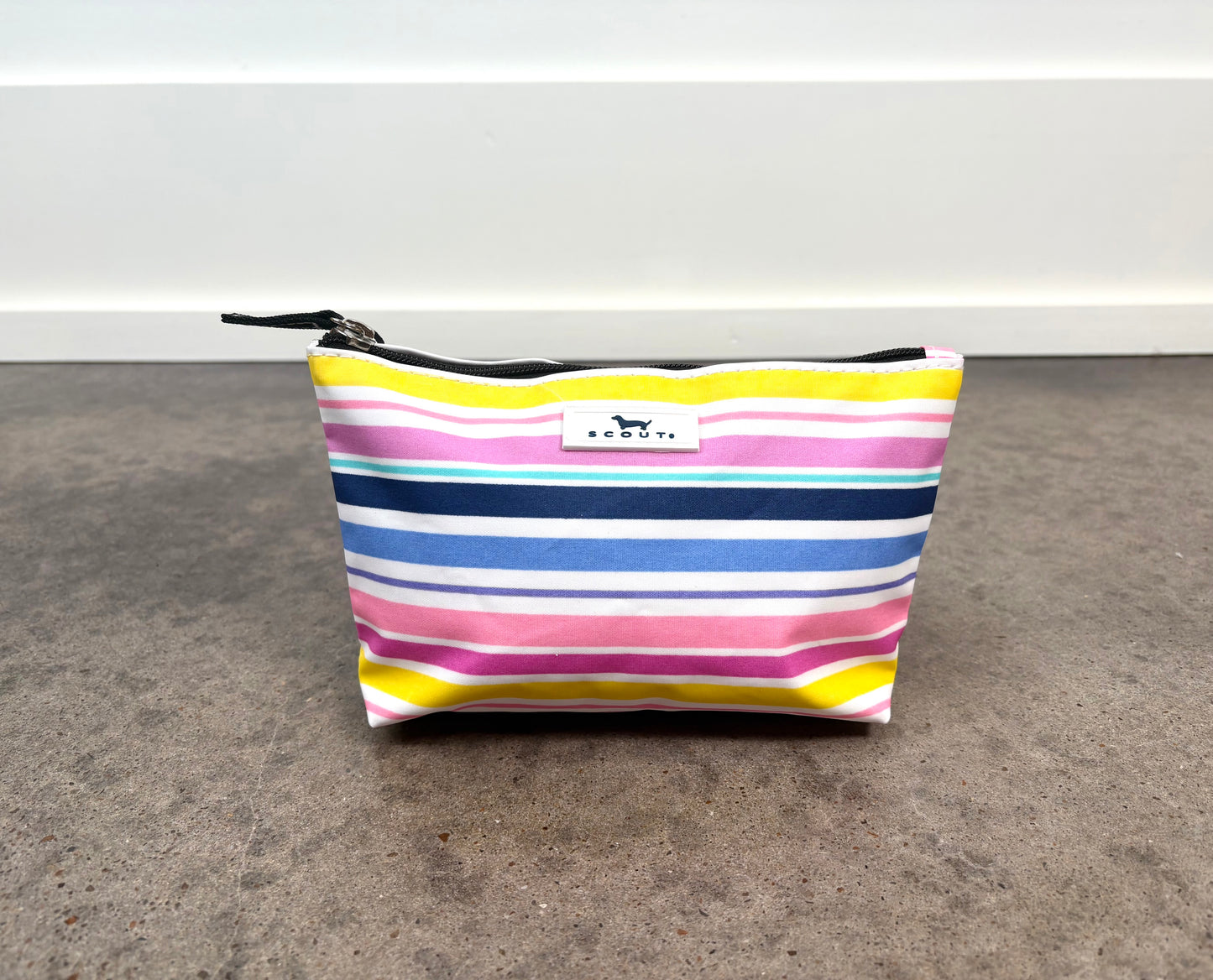 Twiggy Pouch in Stripe a Pose with colorful horizontal stripes, slim zippered pouch for cosmetics, accessories, or travel essentials.