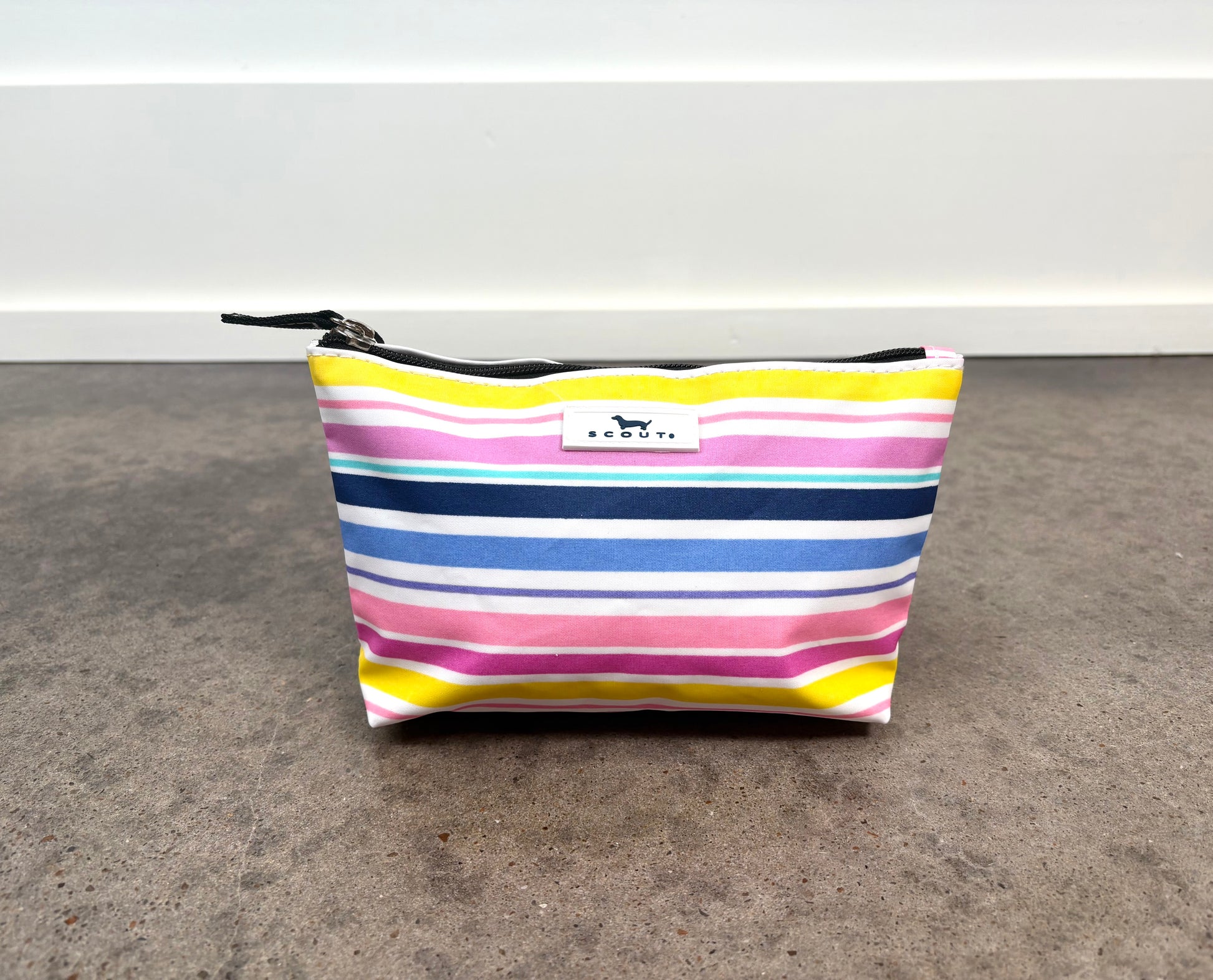 Twiggy Pouch in Stripe a Pose with colorful horizontal stripes, slim zippered pouch for cosmetics, accessories, or travel essentials.