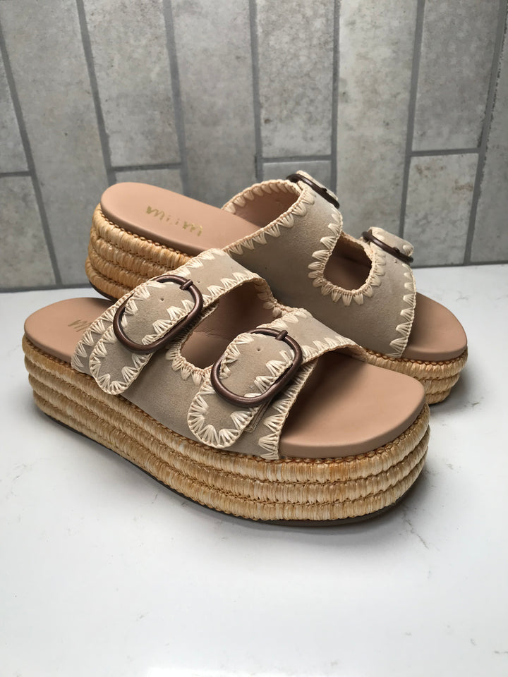 HEIDI Platform Slides
