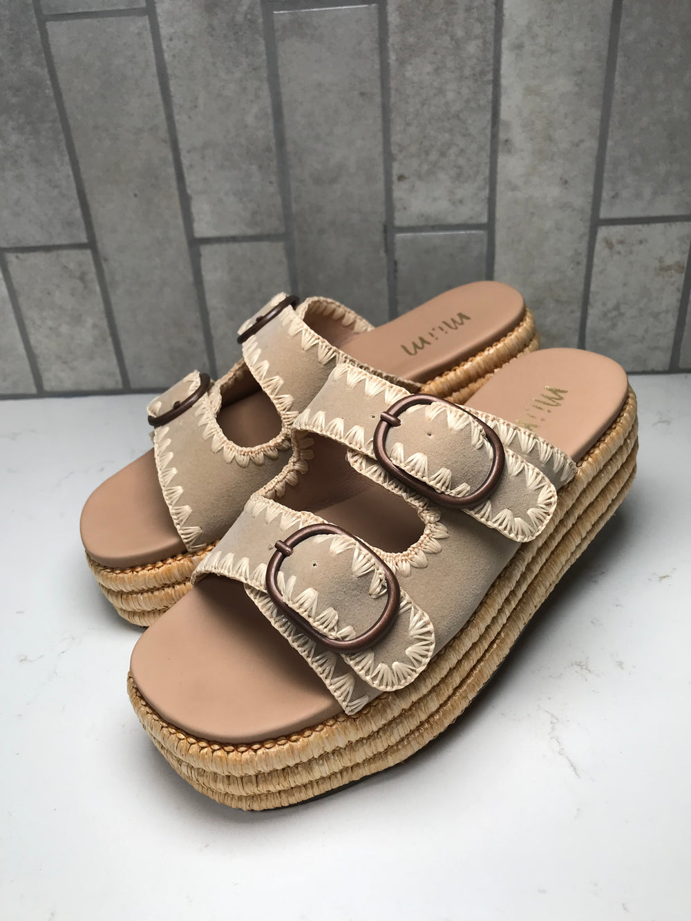 HEIDI Platform Slides