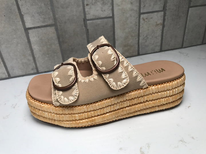 HEIDI Platform Slides