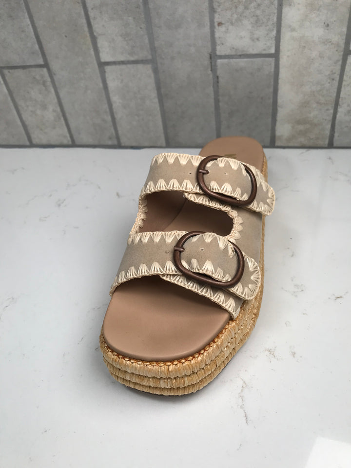 HEIDI Platform Slides