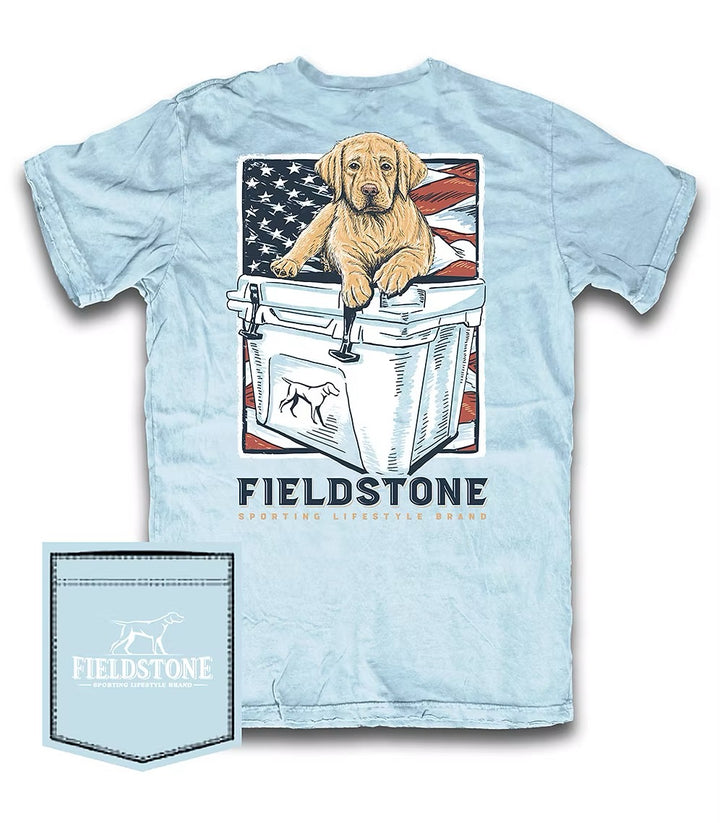 Youth Fieldstone Sporting Lifestyle Brand light blue graphic t-shirt featuring Labrador retriever puppy sitting on cooler with American flag backdrop, Southern outdoor apparel, hunting dog tee, patriotic comfort shirt