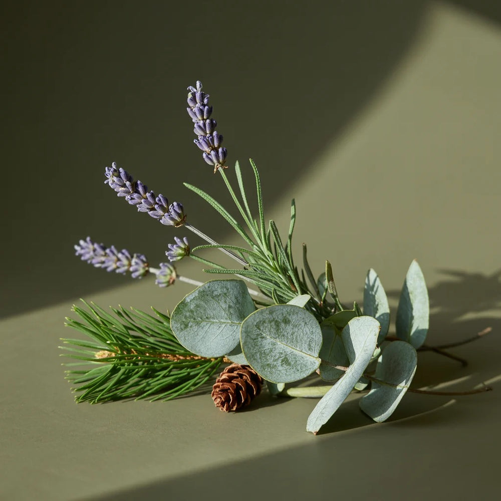 Lavender Fields Pura Home Diffuser Refill