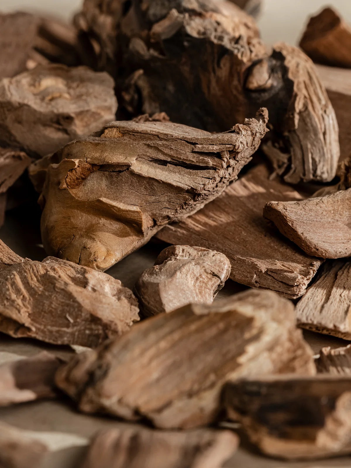 Close-up of dried brown roots or herbs on a wooden surface