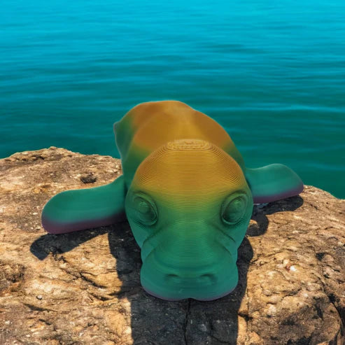 Mellow Manatee