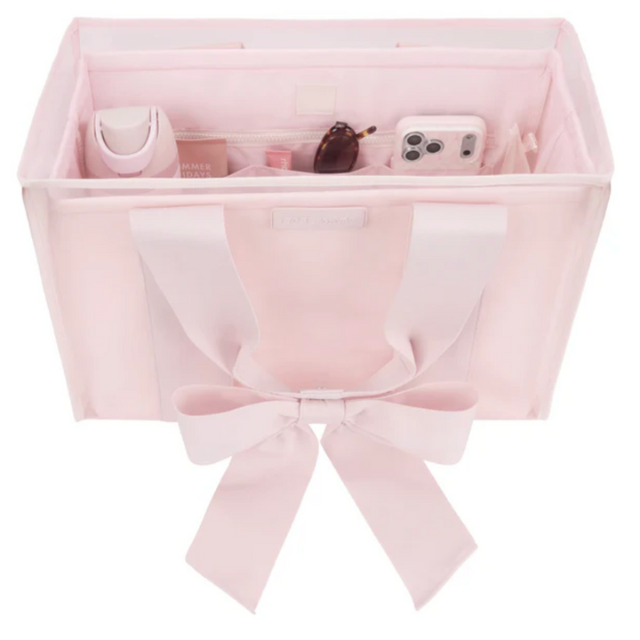 Case-Mate Jelly Tote Organizer