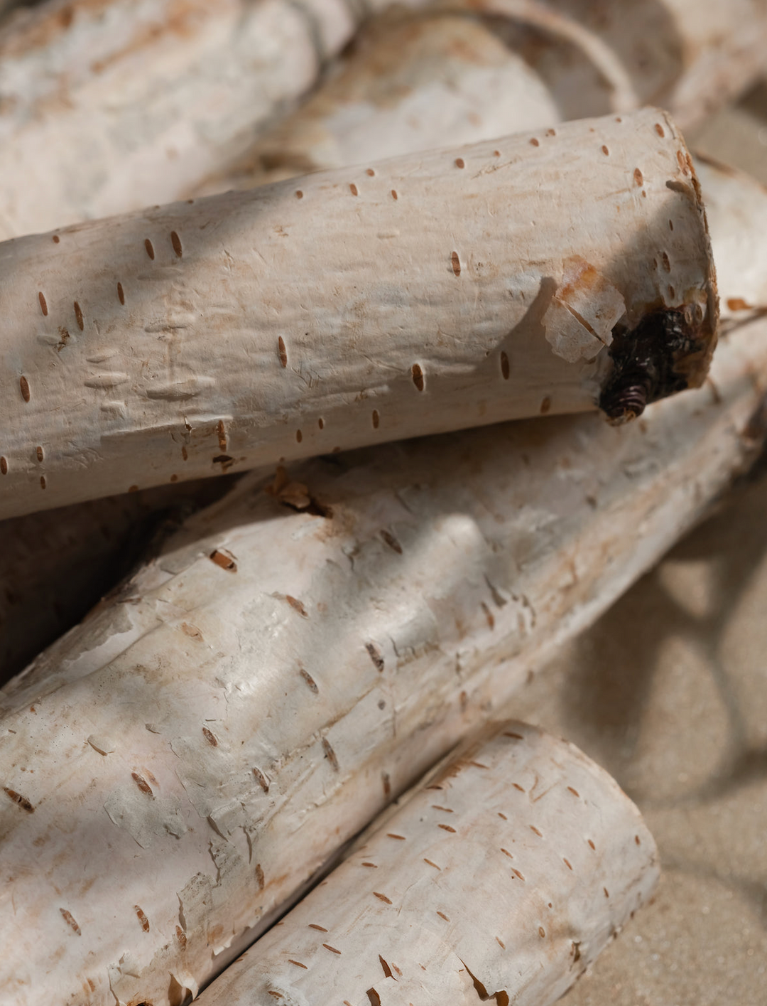 Ivory Woods Pura Car Scent Refill