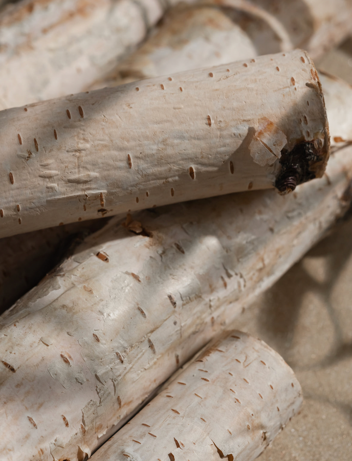 Ivory Woods Pura Car Scent Refill
