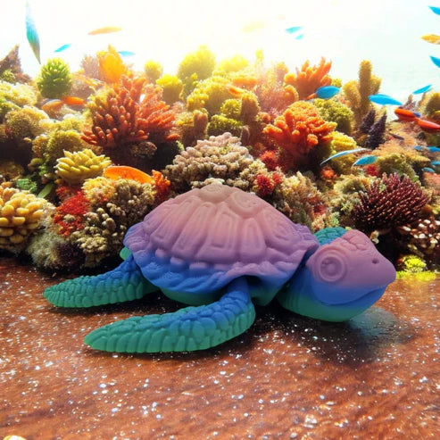 Seagrass Sea Turtle