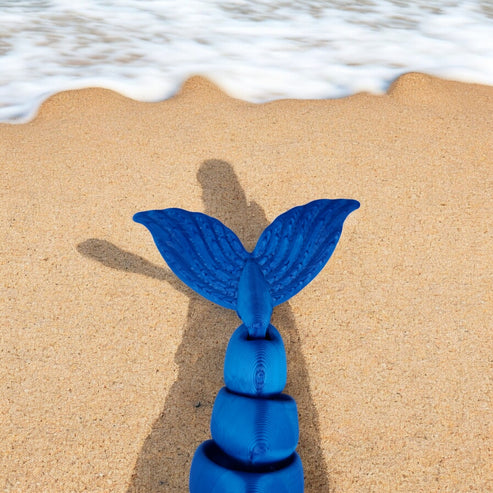 Seawhisper Dolphin