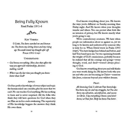 The 5-Minute Bible Study for Men: Pursuing God